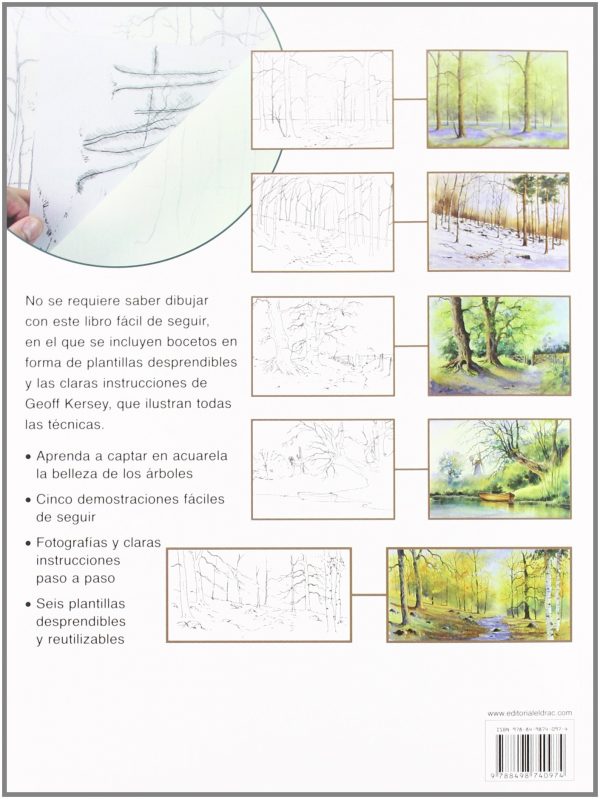 Árboles y bosques a la acuarela - Imagen 2
